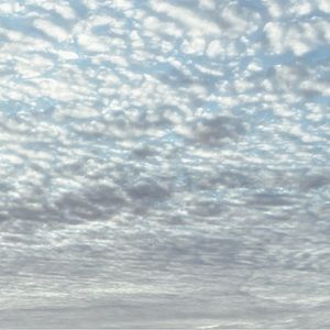 Meet your Posher, Bon